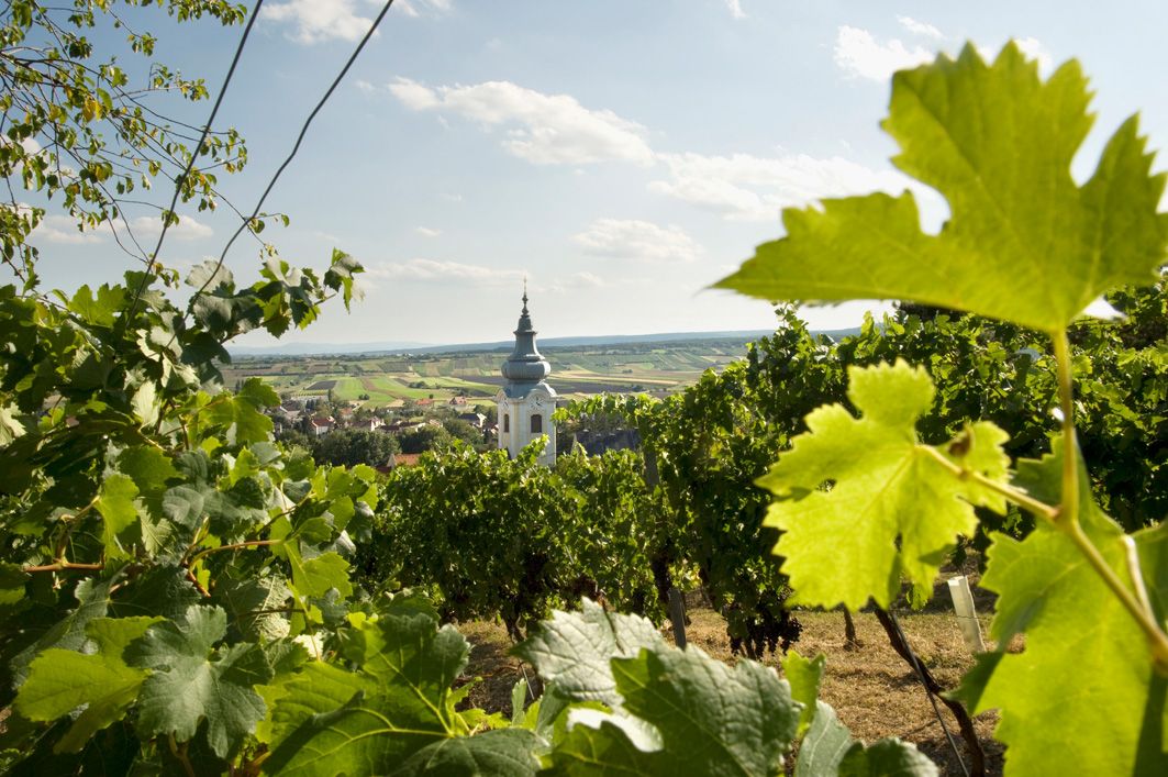 Weingarten 
