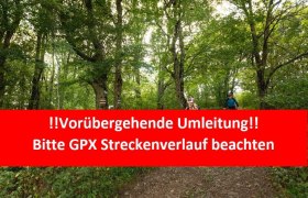 Umleitung Forstarbeiten, © Wienerwald Tourismus GmbH / Christoph Kerschbaum