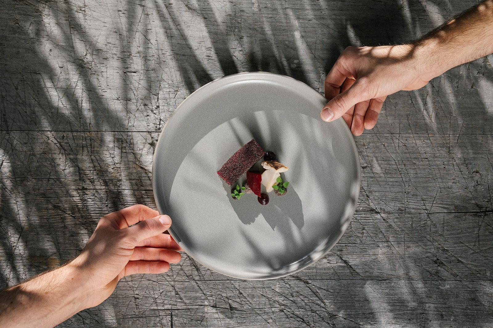 Zwei Hände halten ein Teller mit einem kunstvoll angerichteten Gourmetgericht über einem Holztisch.