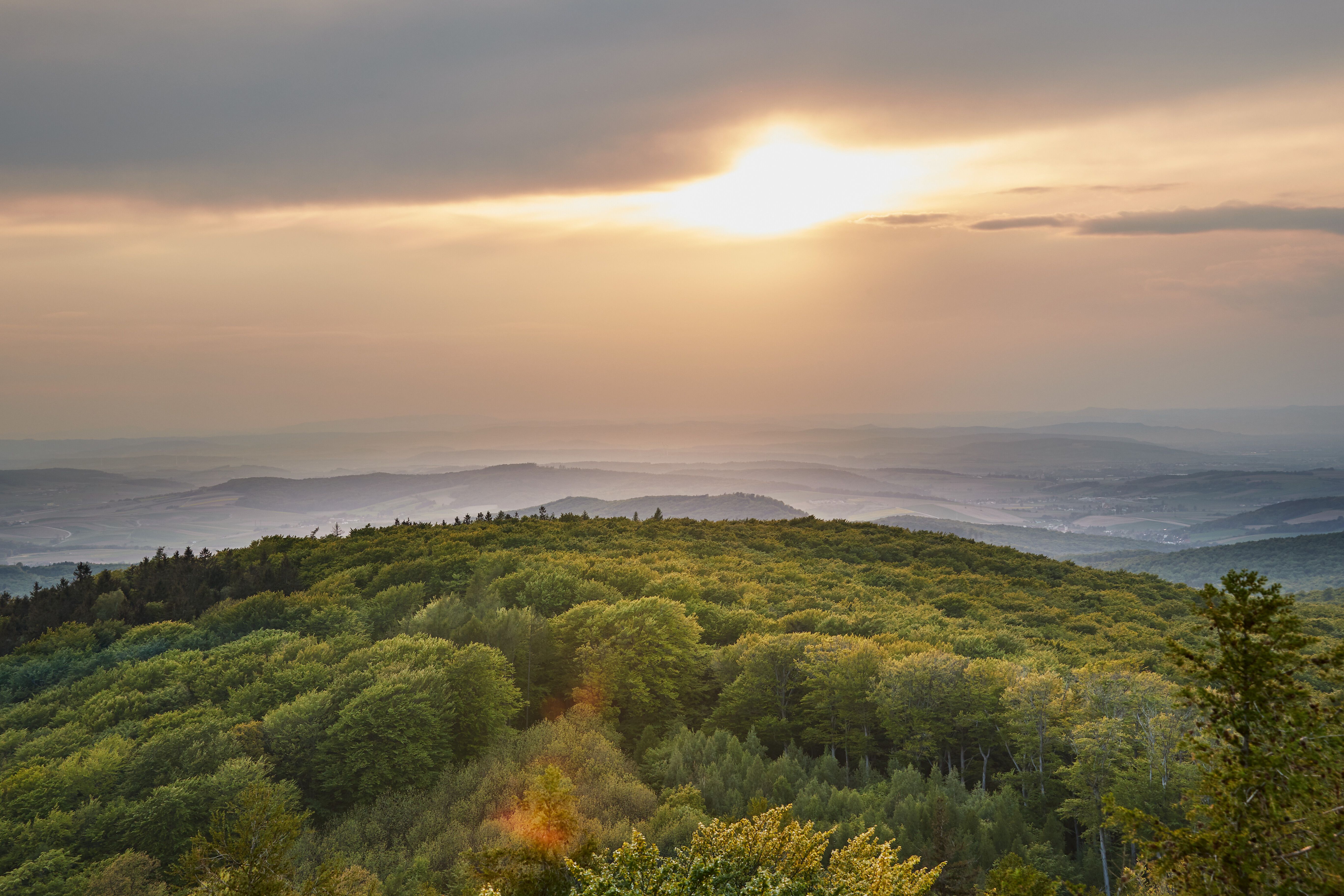 Die sanften Hügel des Wienerwaldes erstrecken sich majestätisch unter einem sanften Sonnenuntergang. Die üppigen Wälder und die klare Luft laden zu unvergesslichen Wanderungen ein, während die Farben des Himmels die Landschaft in ein malerisches Licht tauchen.