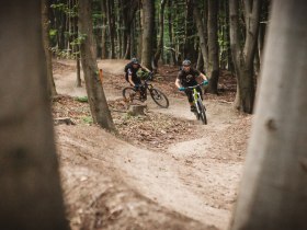 Weidlingbach, &copy; Wienerwald