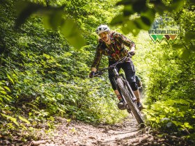 Schönstatt Trail, © Wienerwald Tourismus / Wienerwald Trails