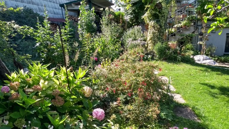 A lush garden with various plants and flowers, surrounded by a house with a staircase.