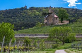 Lausturm, &copy; Marktgemeinde Soo&szlig;