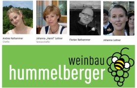 Viticulture Hummelberger, &copy; Hummelberger