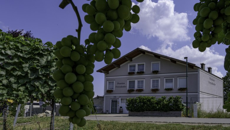 View of the Soosser Winzerhof from the vineyard, © Studeny