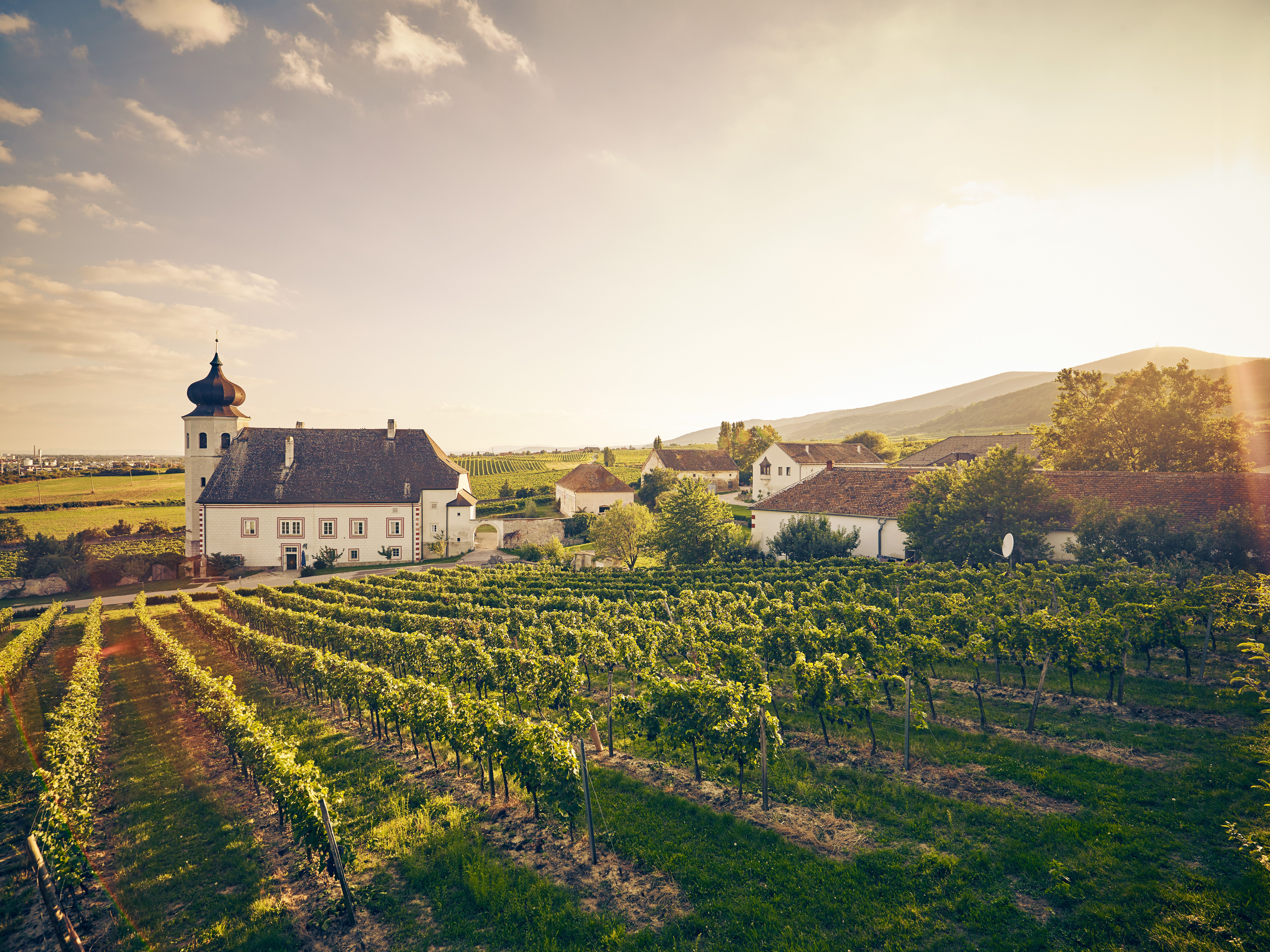 Die sanften Hügel des Wienerwaldes umarmen die malerischen Weinreben, die in der goldenen Abendsonne leuchten. Ein charmantes Anwesen, umgeben von üppigem Grün, lädt dazu ein, die Seele baumeln zu lassen und die Schönheit der Natur zu genießen.