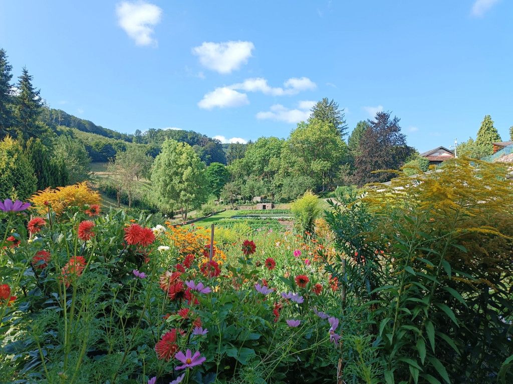 Der idyllische Veranstaltungsort in Laab im Walde