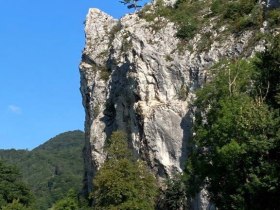 Furth Felsen mit Föhre, © Wienerwald
