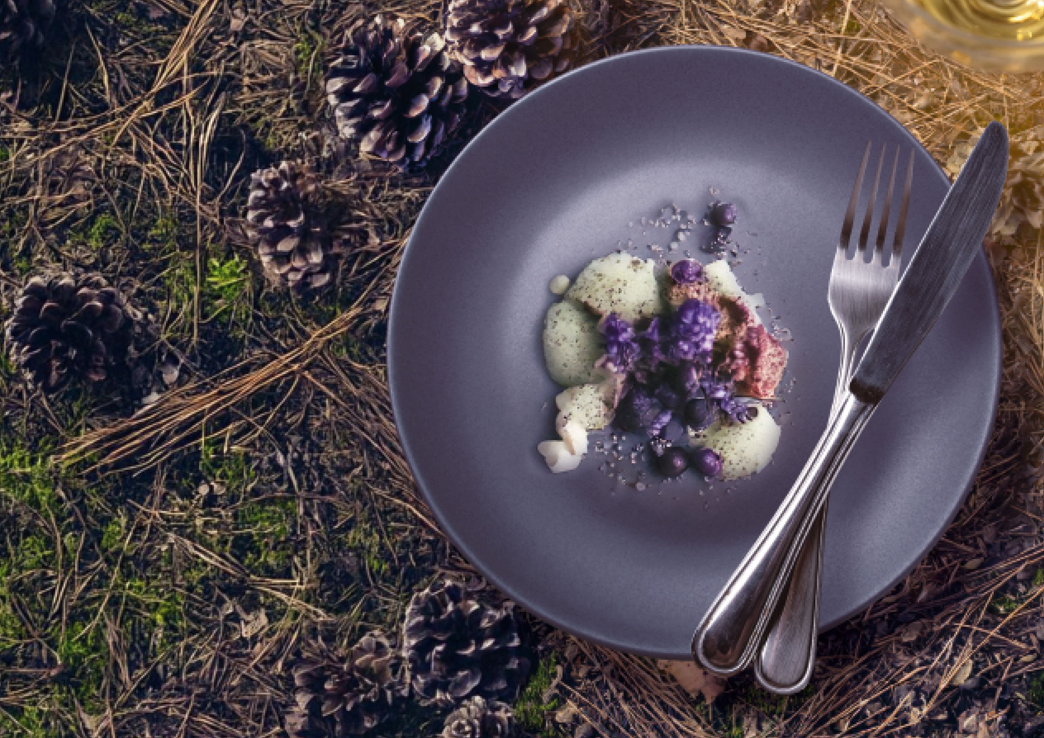 Eine Nachspeise wird auf einem dunkelgrauen Teller präsentiert, begleitet von Besteck. Im Hintergrund ist ein naturbelassener Waldboden mit Waldbockerln zu sehen.