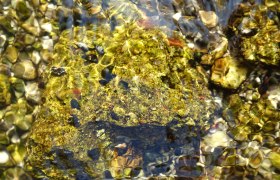 Schneckensalettl, &copy; Sabine M. Gruber