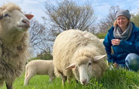 Schaf Erlebnis Guntramsdorf Nieder&ouml;sterreich N&auml;he Wien, &copy; (c) Karina P&ouml;schl