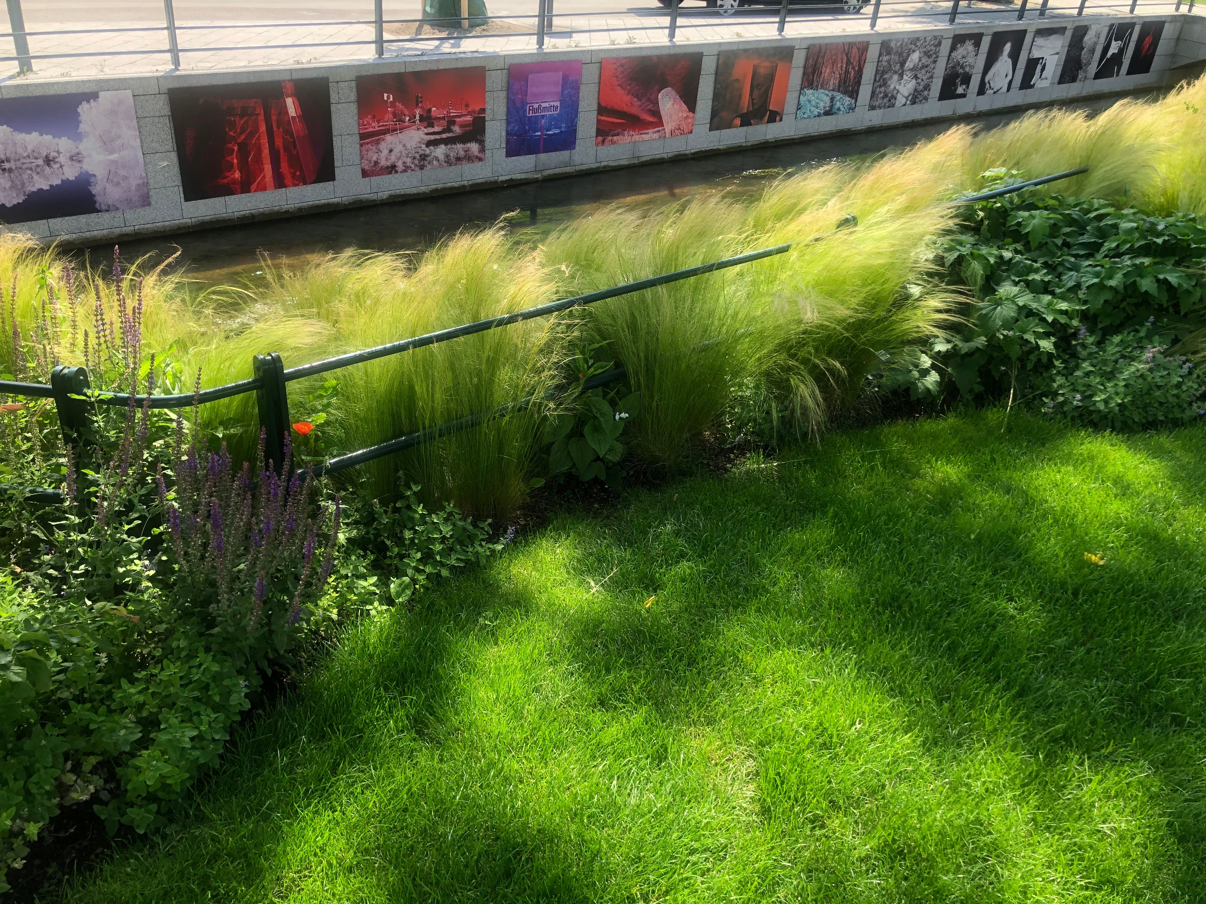 Festival Impression 2020