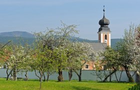 Kirche Grossau, © Bad Vöslau / Johann Ployer