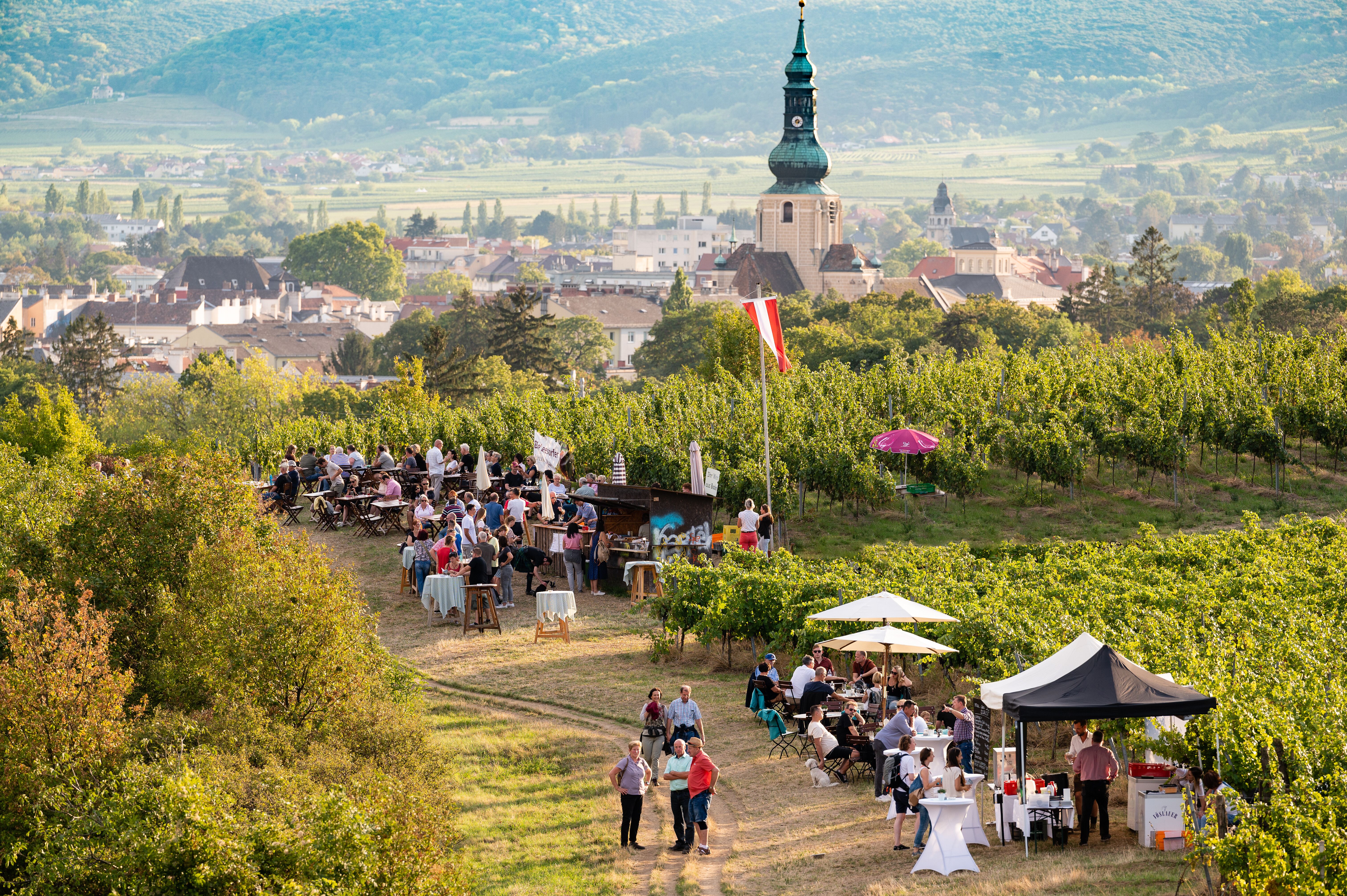 Inmitten der sanften Hügel und üppigen Weinreben versammeln sich Menschen, um die Köstlichkeiten der Region zu genießen. Die Atmosphäre ist lebhaft und einladend, während die Sonne über den malerischen Weinbergen strahlt und die umliegende Landschaft in warmes Licht taucht.