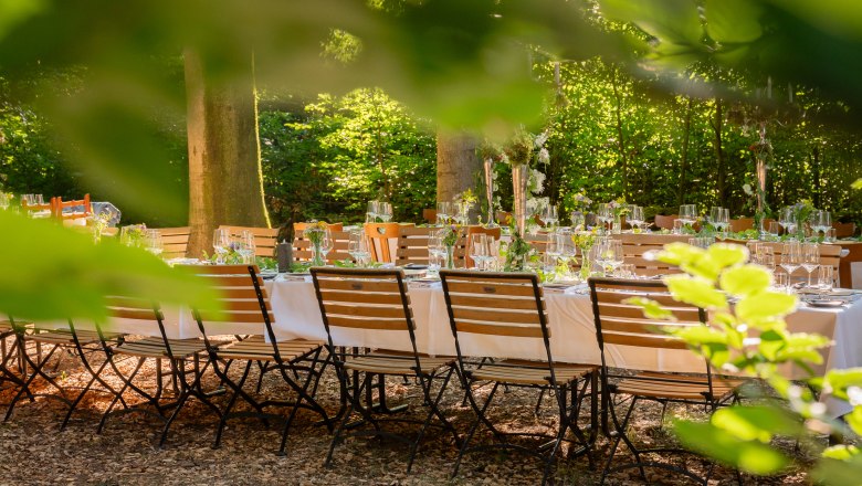 Festliche Tafel, © Wienerwald Tourismus/Christian Dusek 