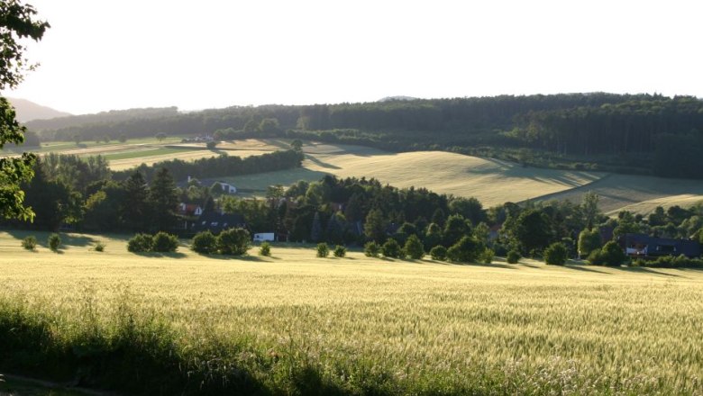 Landschaft mit Feldern, Bäumen und Häusern im Hintergrund.