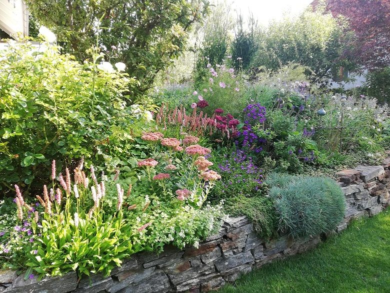 Ein üppiger Garten mit verschiedenen blühenden Pflanzen und Sträuchern auf einer Steinterrasse.