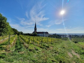 WeinWanderWeg Gumpoldskirchen, &copy; Wienerwald Tourismus GmbH