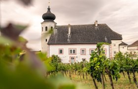 Weingarten Thallern, © Johannes Friedl