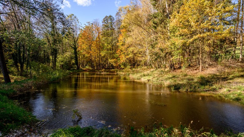 Fischerwiesenteiche im ÖBf-Forstrevier Klausen, © oebf/Imre Antal
