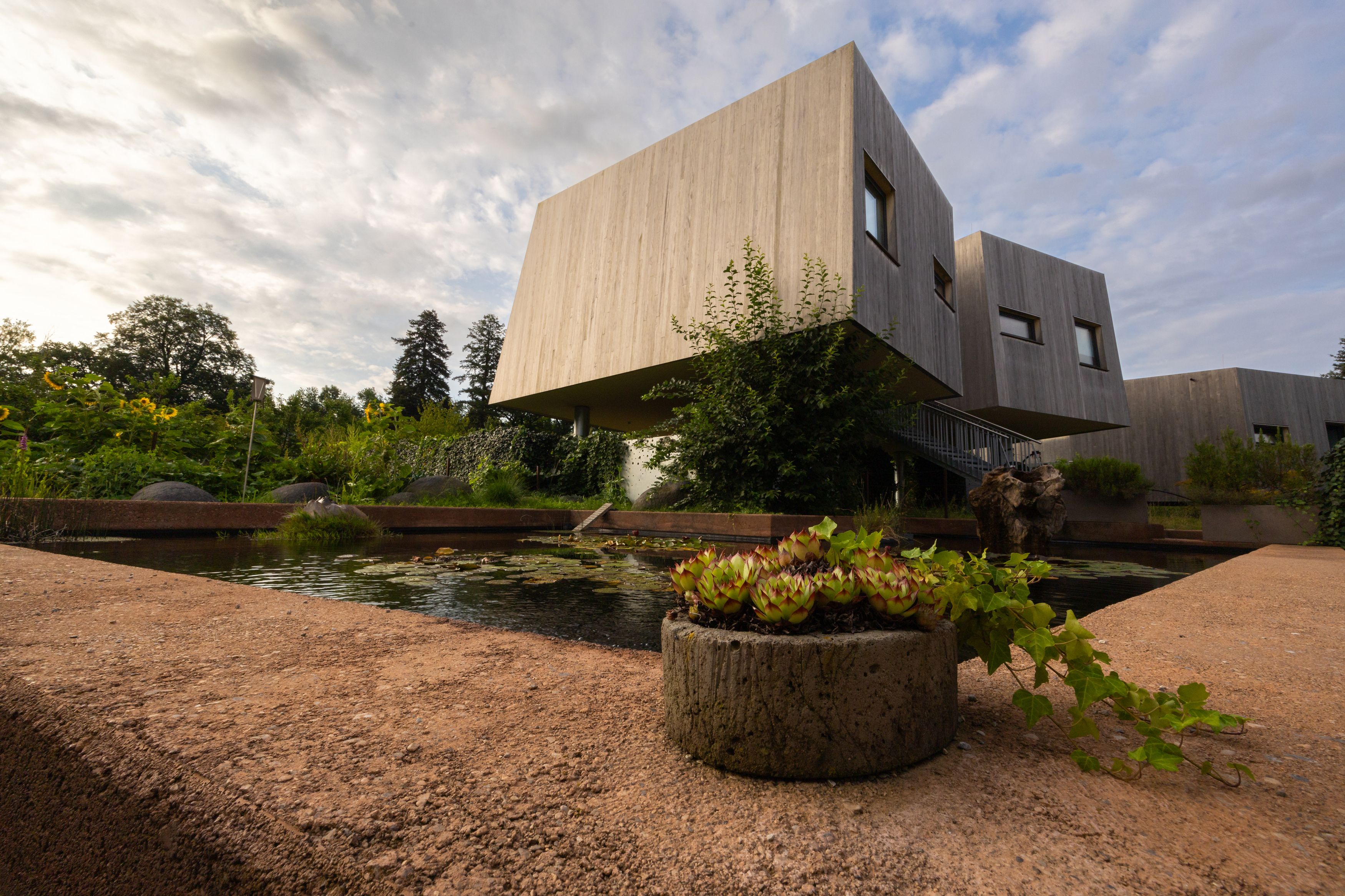 Moderne Gartenlofts aus Holz mit Teich und Pflanzen im Vordergrund.