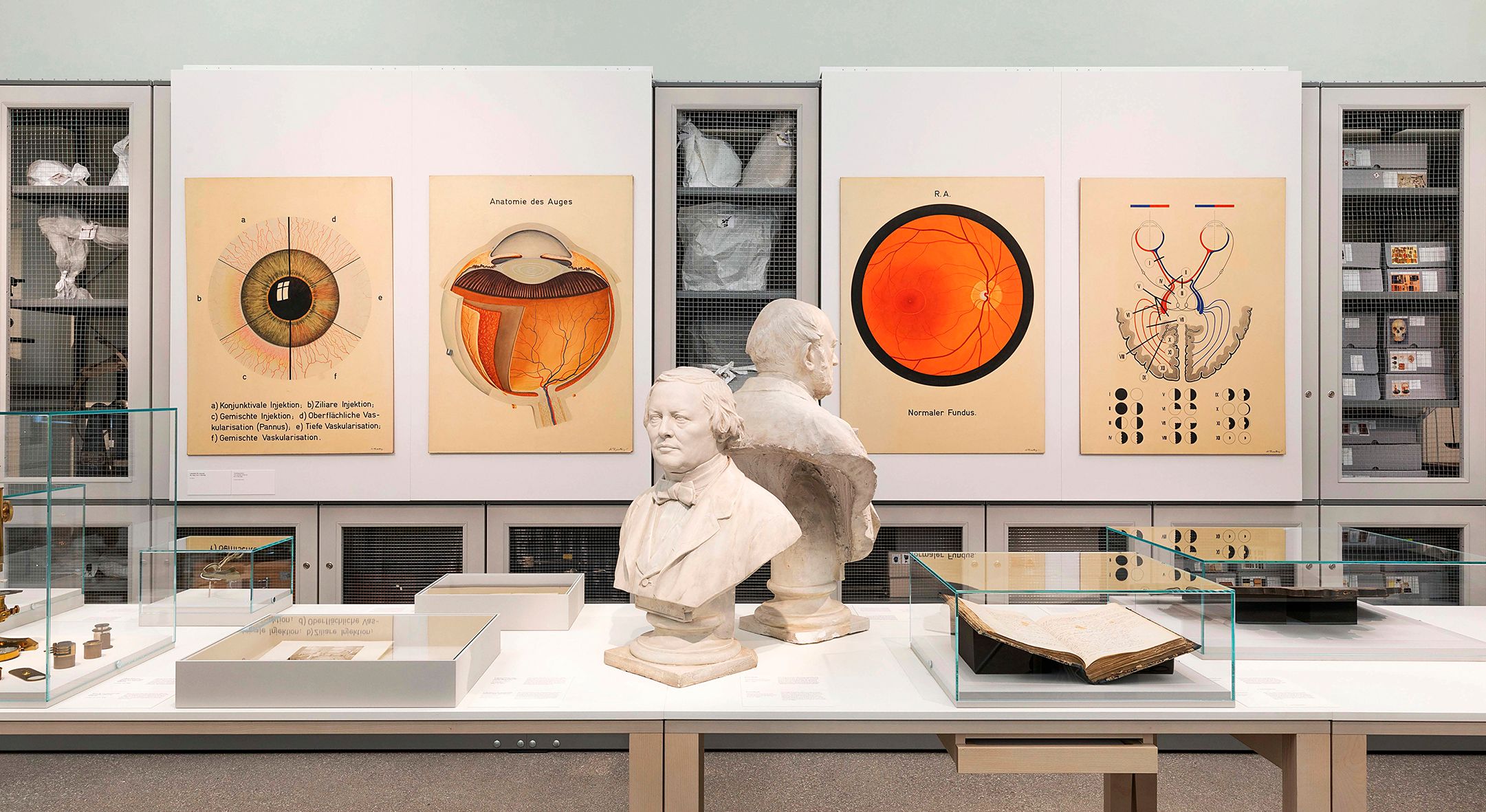 Ausstellung im Josephinum mit medizinischen Postern und Büsten.