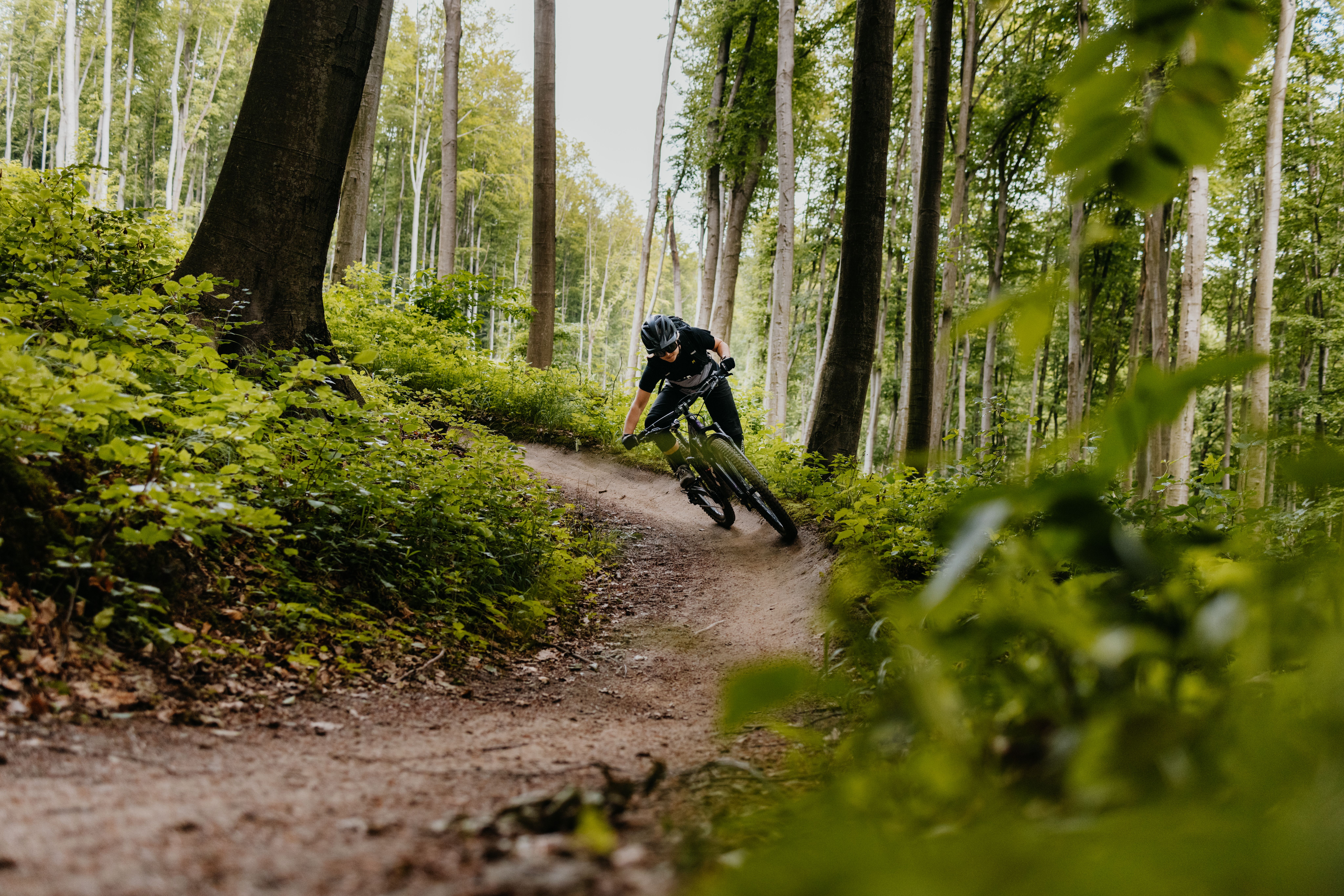 Eine Mountainbikerin fährt im grünen Wienerwald auf einem Trail im Wald bergab.