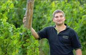 The vineyards are cultivated with much love and care., &copy; weinbau steiner