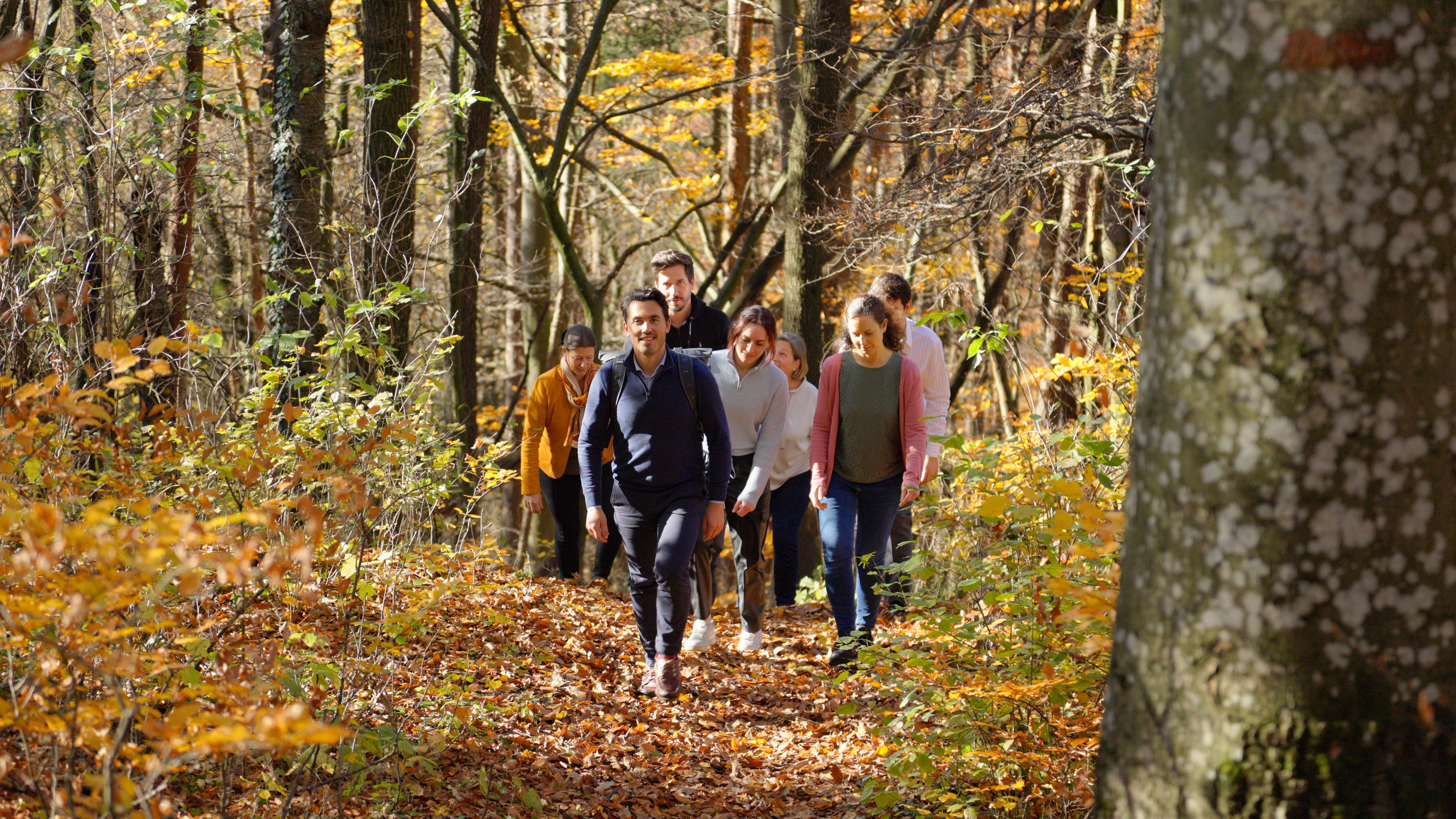 Eine Gruppe spaziert im herbstlichen Wienerwald zur Wienerwaldbiergenuss Führung im herbstlichen Wienerwald. 