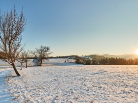 Laaben im Wienerwald im Winter, © Wienerwald Tourismus GmbH / Andreas Hofer