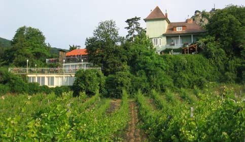 Ein Haus auf einem Hügel mit Weinreben im Vordergrund.