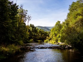 Helenental Schwechat, © Wienerwald