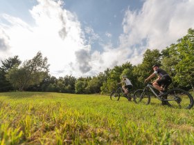 MTB Wienerwald, &copy; Wienerwald Tourismus GmbH / Christoph Kerschbaum