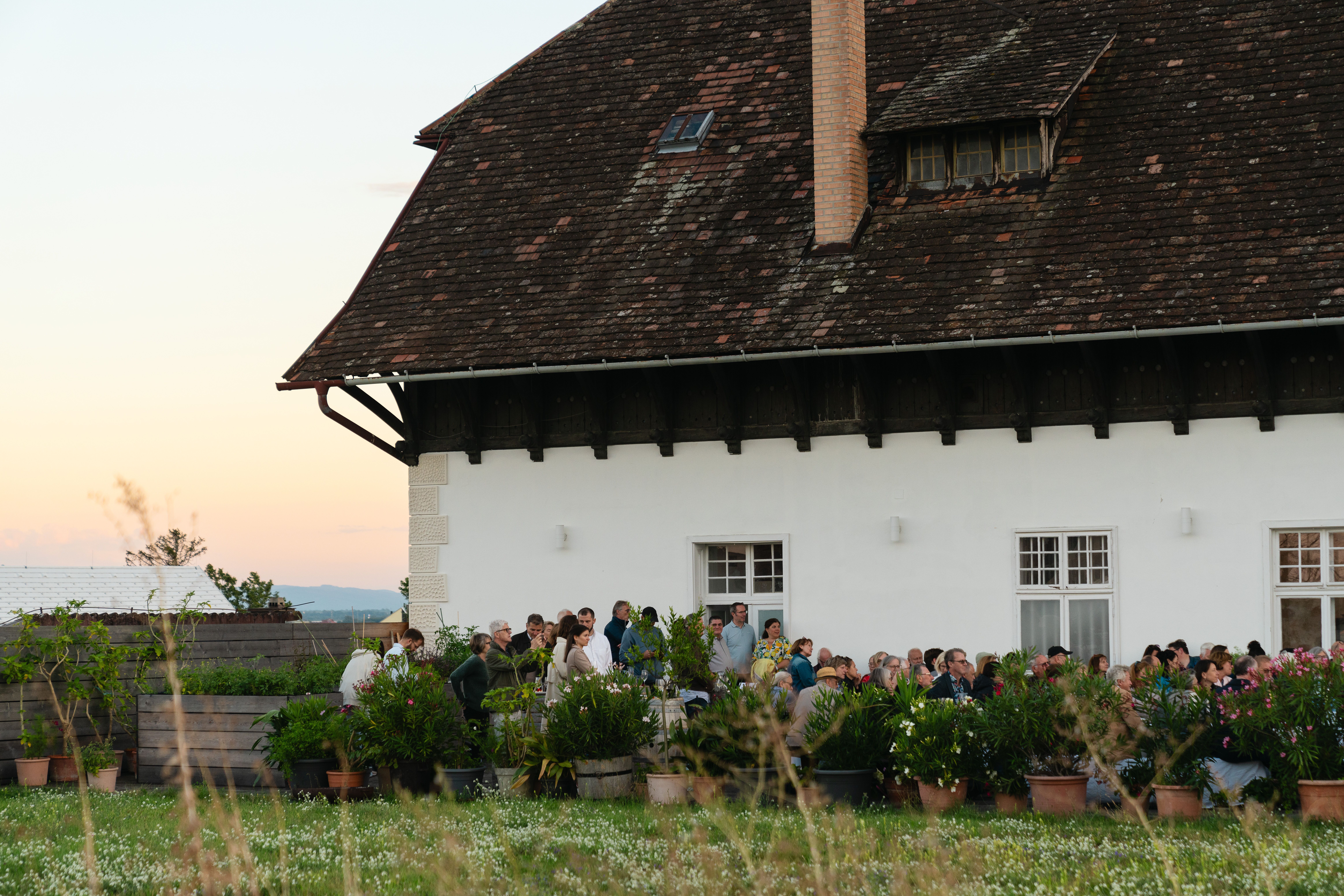 In der sanften Abenddämmerung versammeln sich Menschen inmitten üppiger Pflanzen und blühender Blumen, um die kulinarischen Köstlichkeiten der Region zu genießen. Die Atmosphäre ist geprägt von fröhlichem Lachen und dem Duft von frisch zubereiteten Speisen, während die Sonne langsam hinter den Hügeln verschwindet.