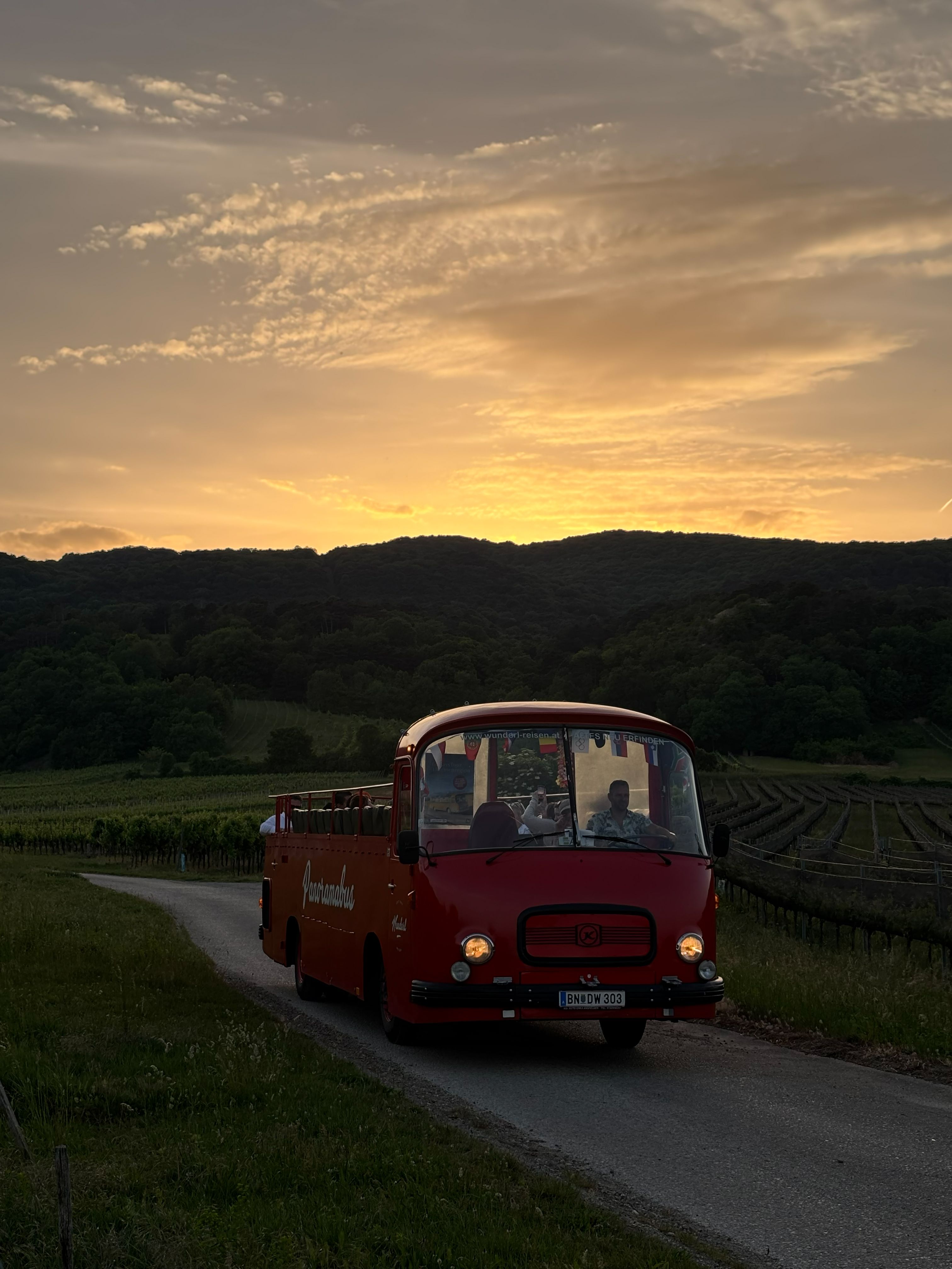 Oldtimer Bus fährt bei sommerlicher Abendstimmung in der Landschaft der Thermenregion.