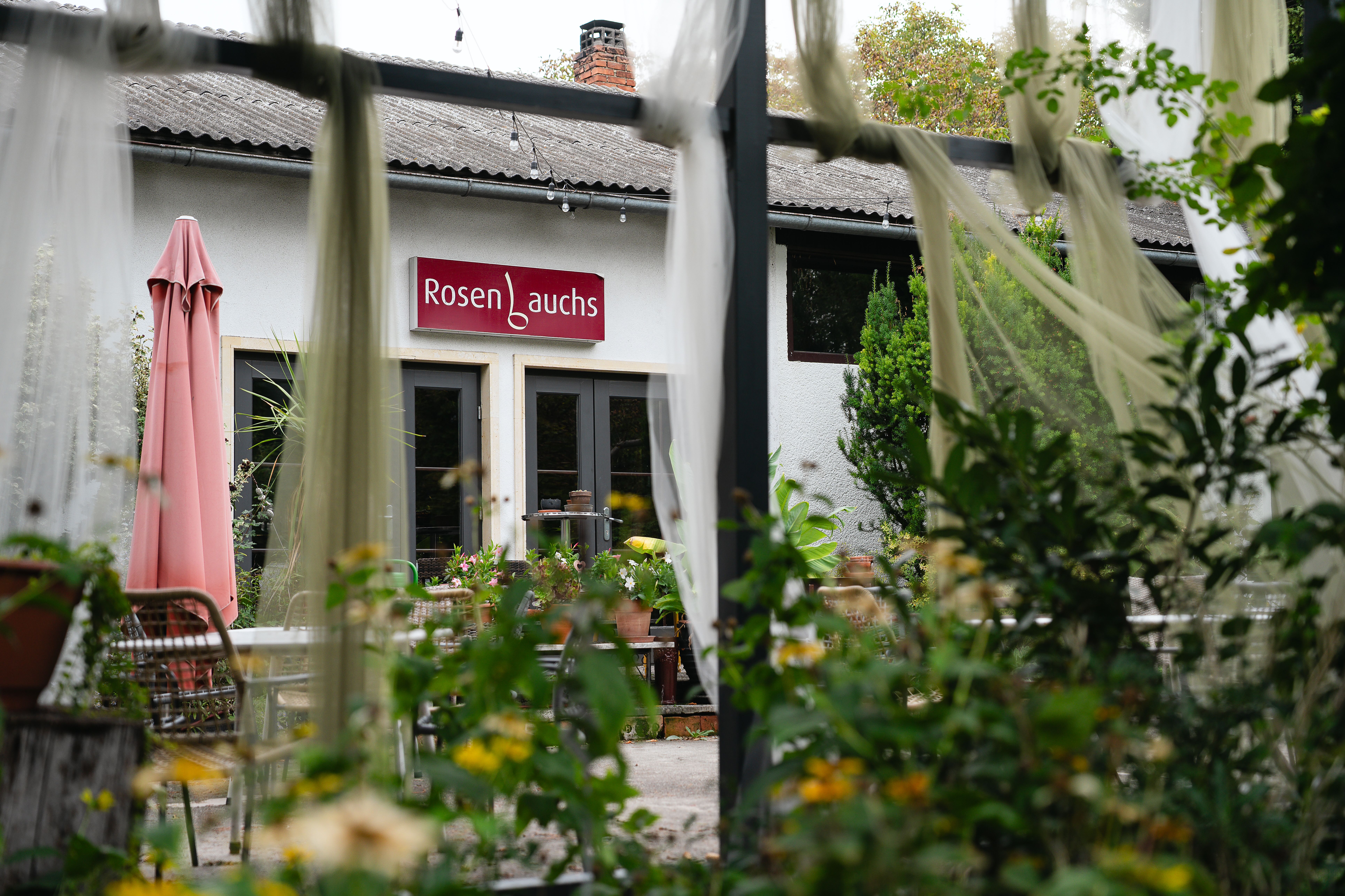 Blick durch bepflanzten Garten auf die Terrasse des Lokals „Rosenbauchs“ mit rosa Sonnenschirm, Pflanzen und Sitzgelegenheiten vor dem Gebäude.