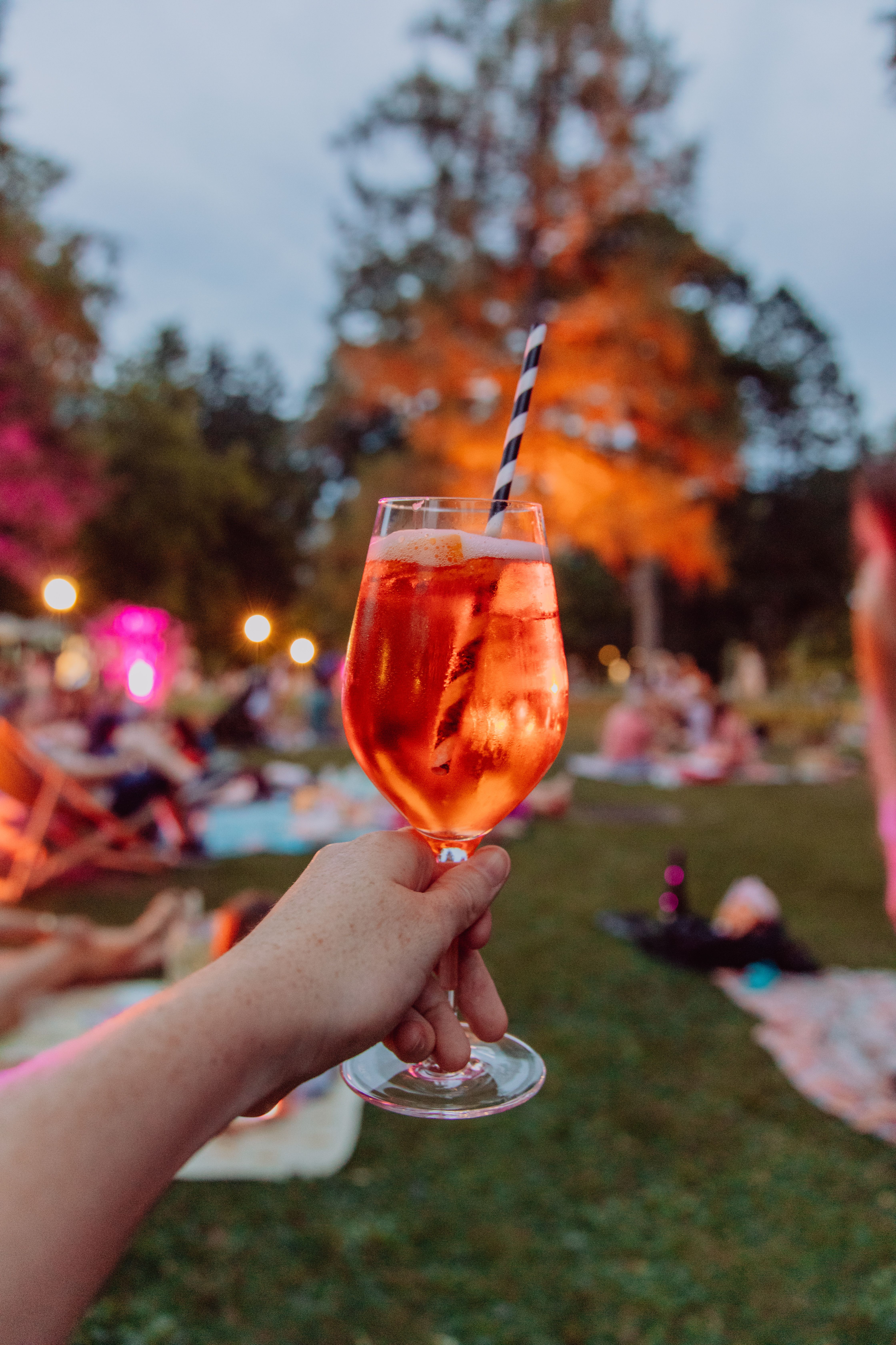 Mondscheinpicknick