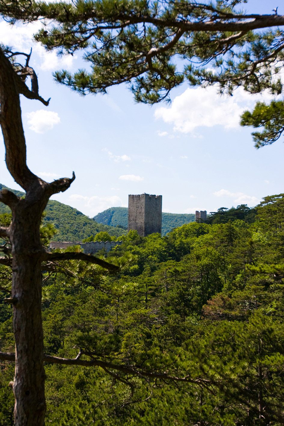 Wandern im Wienerwald