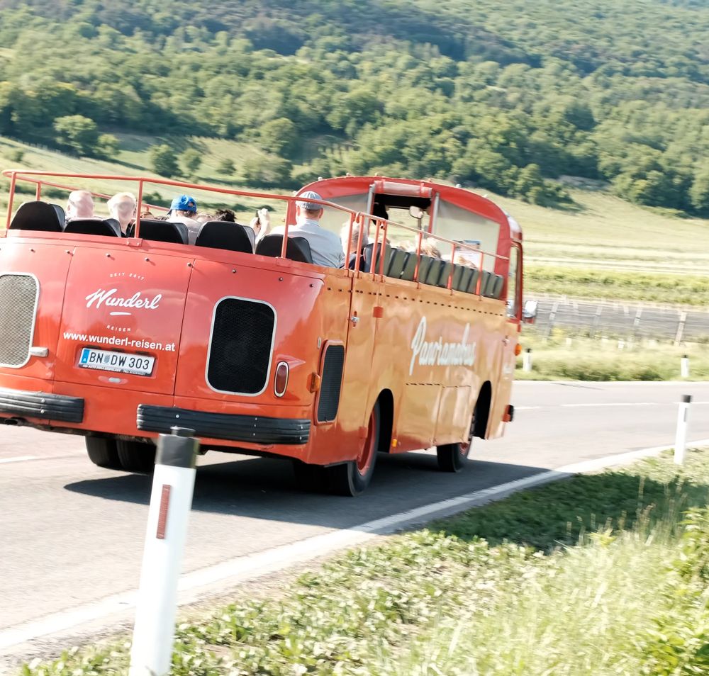 Ein roter Oldtimerbus mit offenem Oberdeck fährt auf einer Straße durch eine grüne Sommerlandschaft. Im Hintergrund sind sanfte Hügel, Wiesen und vereinzelte Bäume der Thermenregion Wienerwald zu sehen. Der Himmel ist hell und klar, es wirkt sonnig und warm.