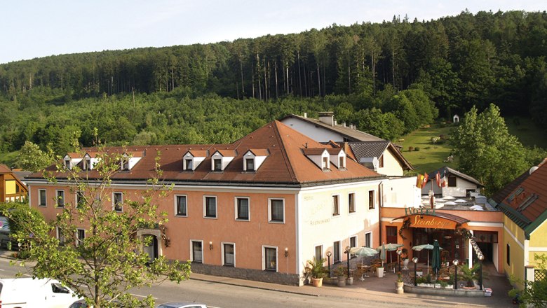 Außenansicht eines Hotels mit Terrasse und umliegendem Wald.