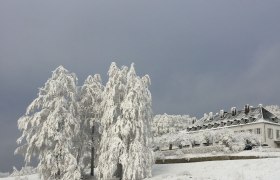 Winter am Tulbingerkogel, © F. Bläuel GesmbH