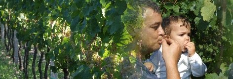 Ein Mann und ein Kind stehen in einem Weinberg und essen Trauben.