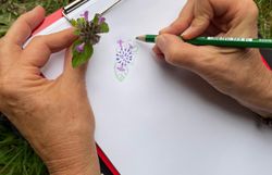 Zeichnen in der Natur