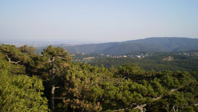Blick von der Josefswarte auf bewaldete Hügel und ein Dorf in der Ferne.
