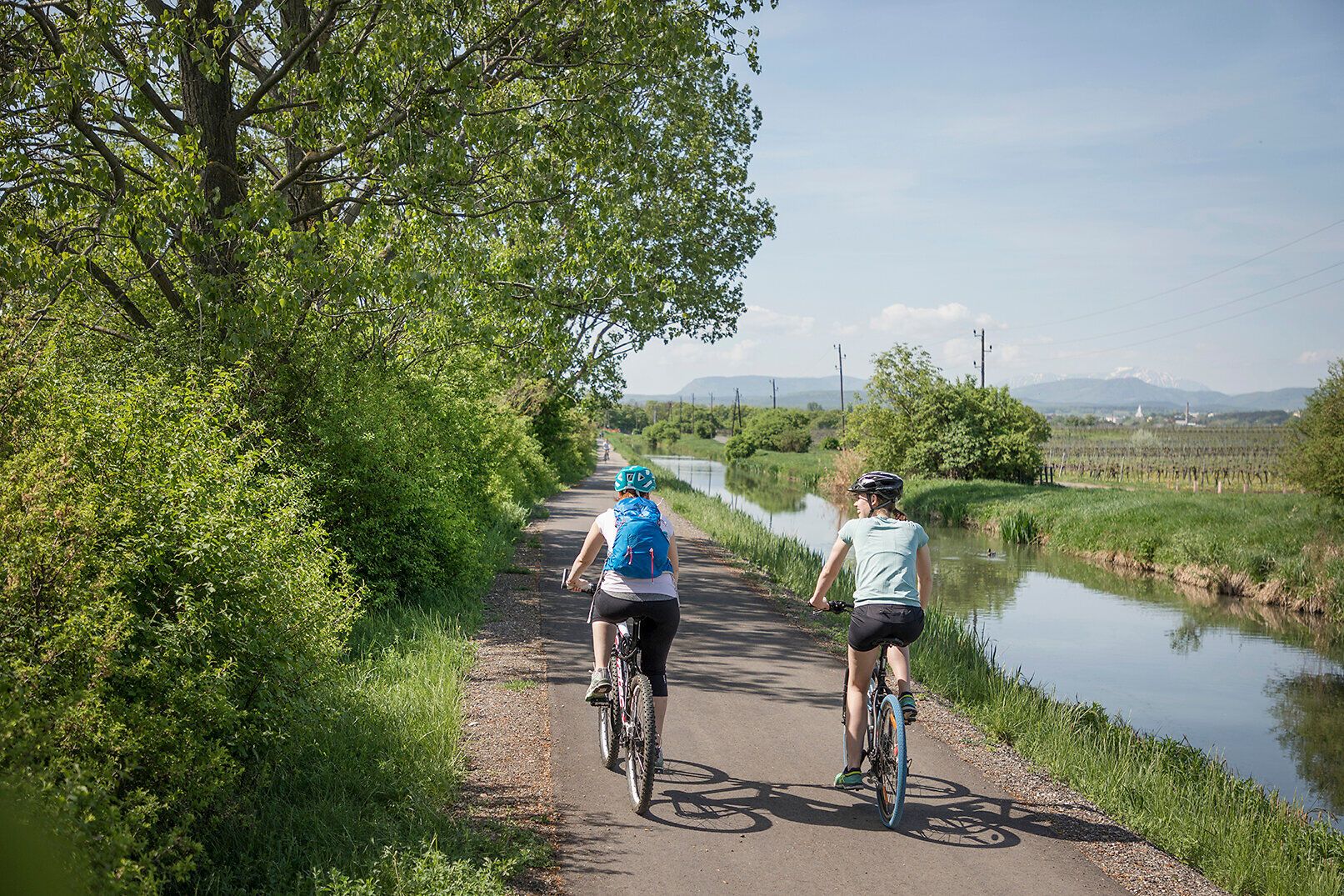 Zwei Radfahrerinnen genießen die frische Luft und die malerische Landschaft entlang eines ruhigen Radwegs. Umgeben von üppigem Grün und dem sanften Plätschern des Wassers, lädt die Umgebung zu einer entspannenden Auszeit in der Natur ein.