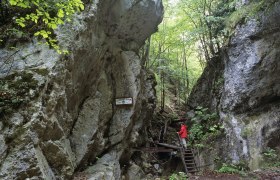 Start der Steinwandklamm, &copy; Wienerwald Tourismus GmbH_Christian Handl