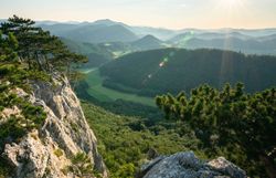 Die sanften Hügel des Wienerwaldes breiten sich majestätisch aus, während die Sonne sanft über die Landschaft strahlt. Ein Gefühl von Freiheit und Abenteuer erfüllt die Luft, während die frische Brise durch die Bäume weht und die atemberaubende Aussicht auf die grünen Täler und sanften Berge verzaubert.