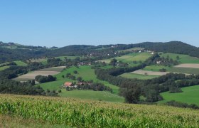 Landschaft mit grünen Feldern und Hügeln unter blauem Himmel.