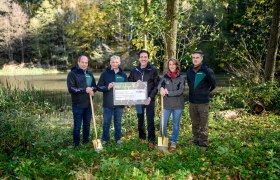 Biotopsanierung im Wienerwald, © oebf/Imre Antal